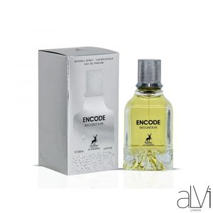 ENCODE MOUNTAIN 100ML